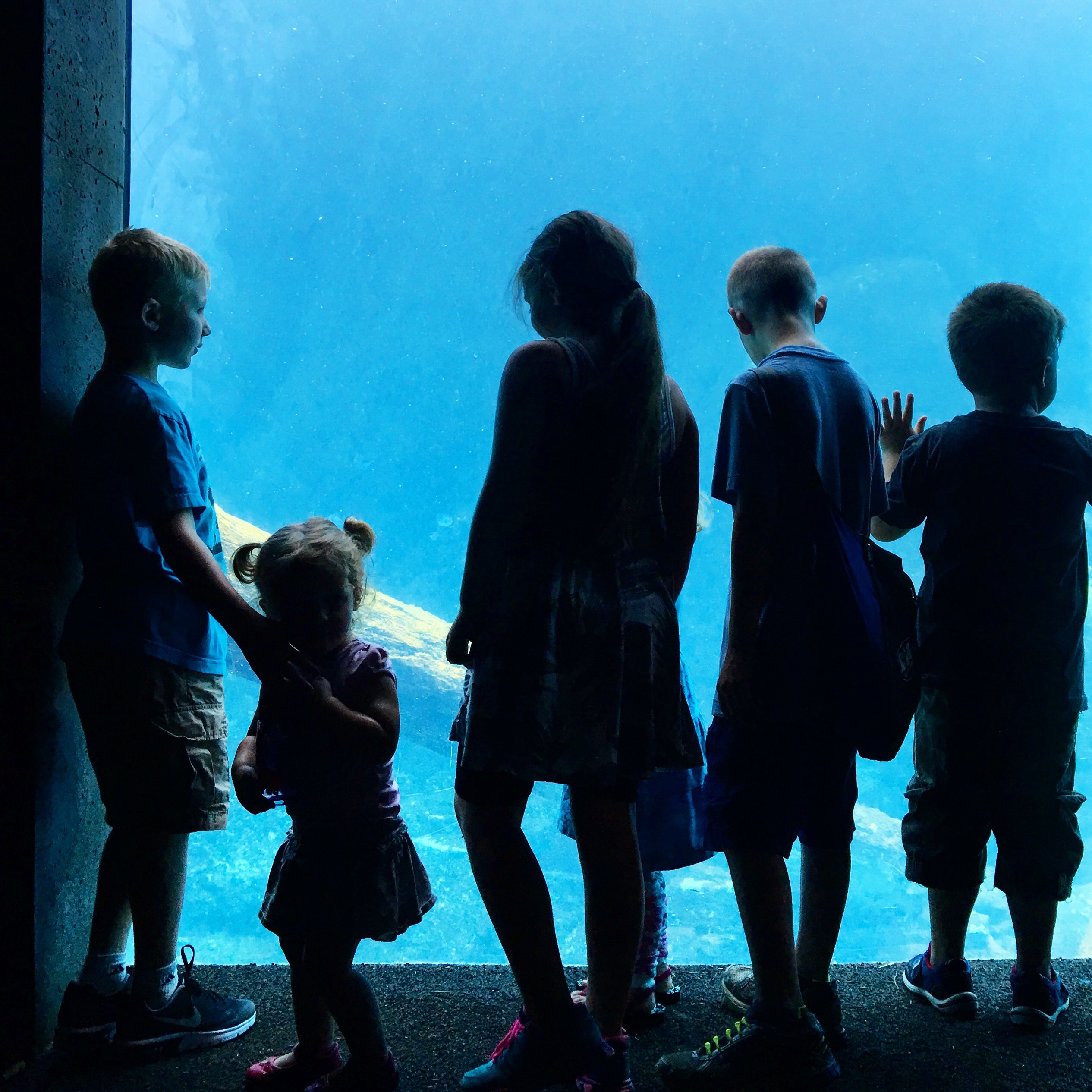 How to Easily Take Silhouette Photos With Your Phone