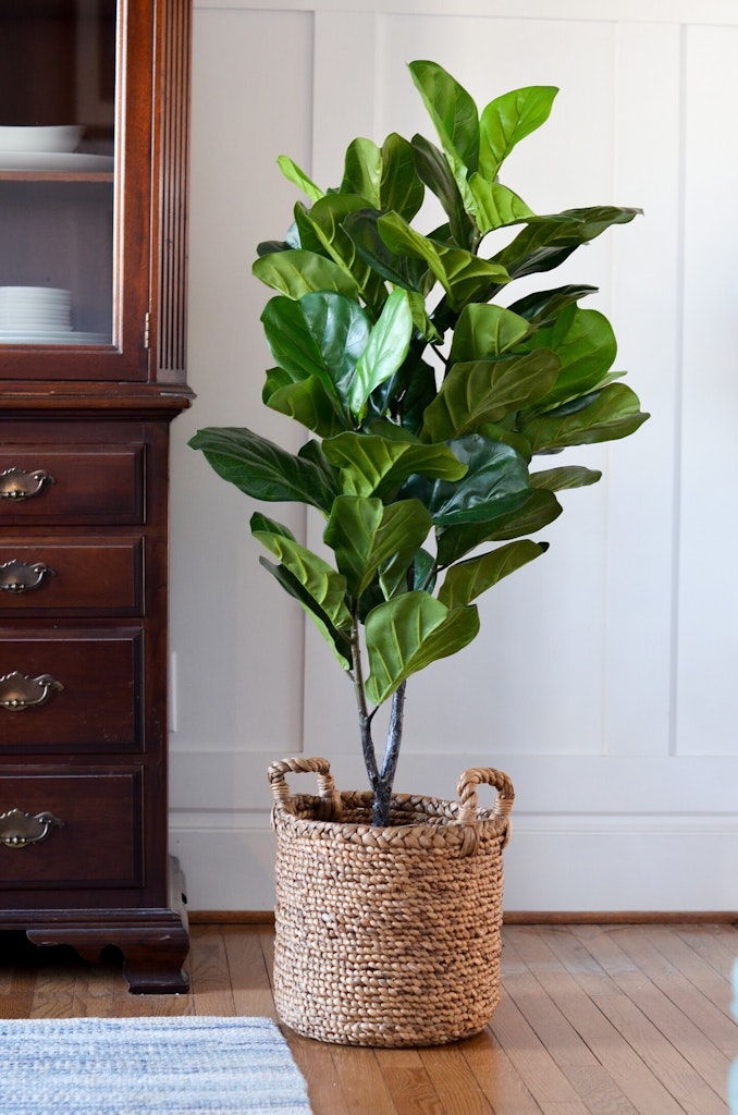 michaels, fake tree, artificial tree, fiddle leaf ficus, decor, decorating
