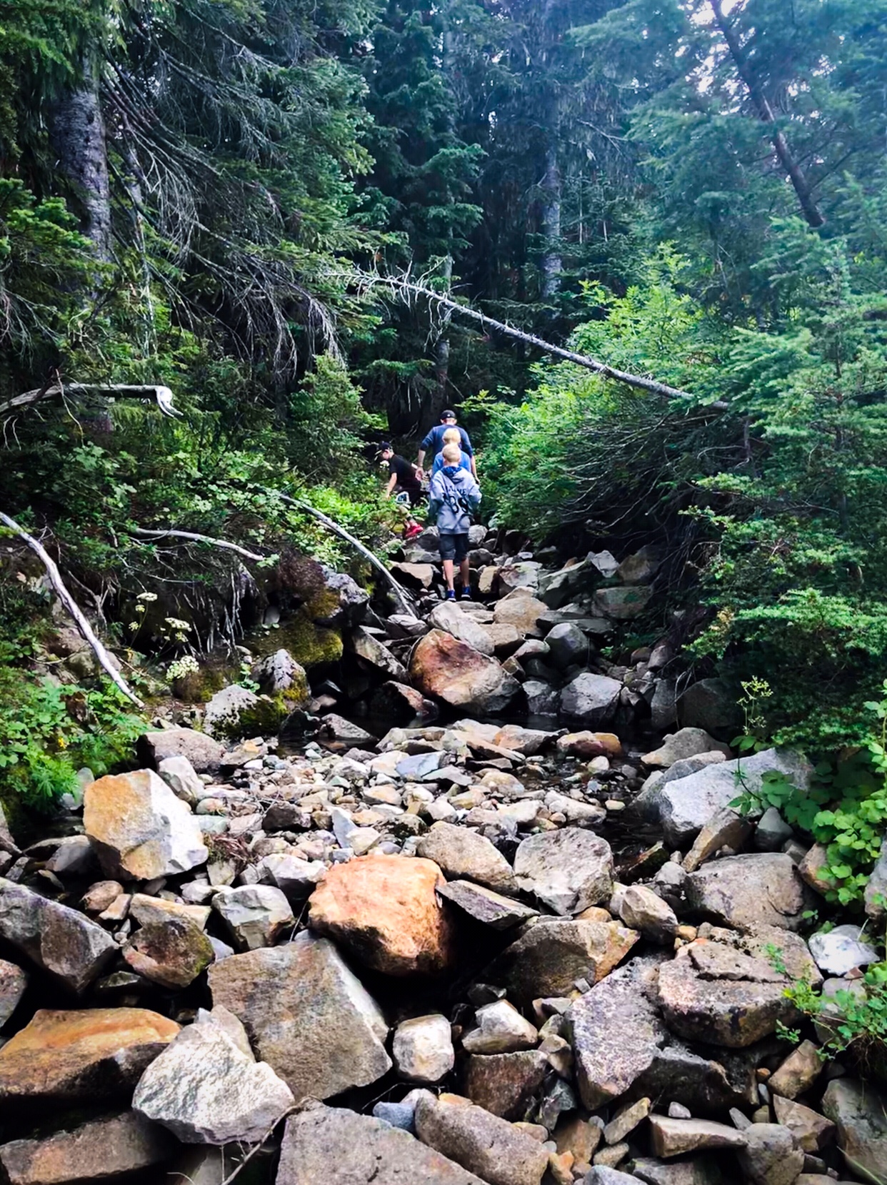 Family Trip to Seattle - Our Must See List