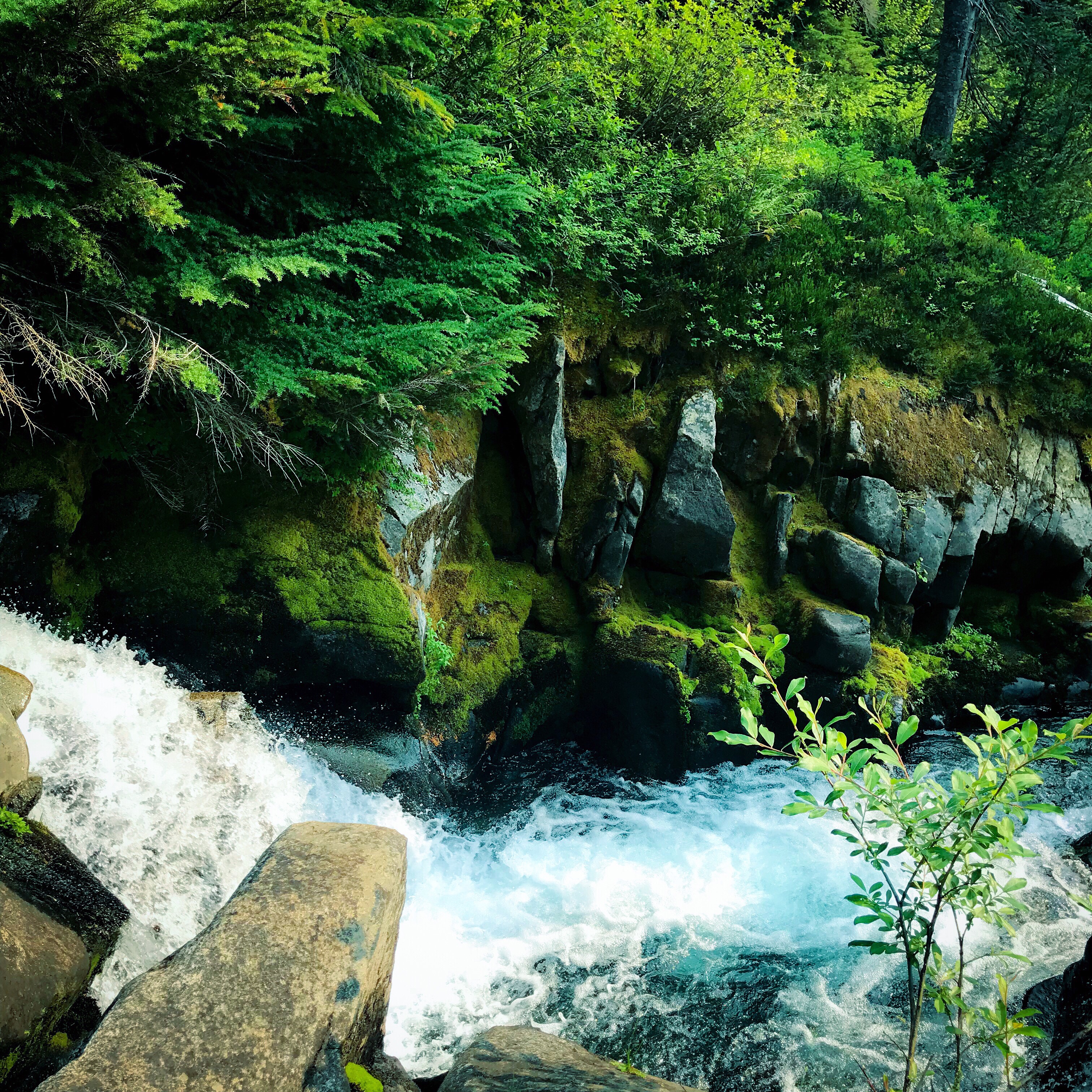 Family Trip to Seattle - Our Must See List