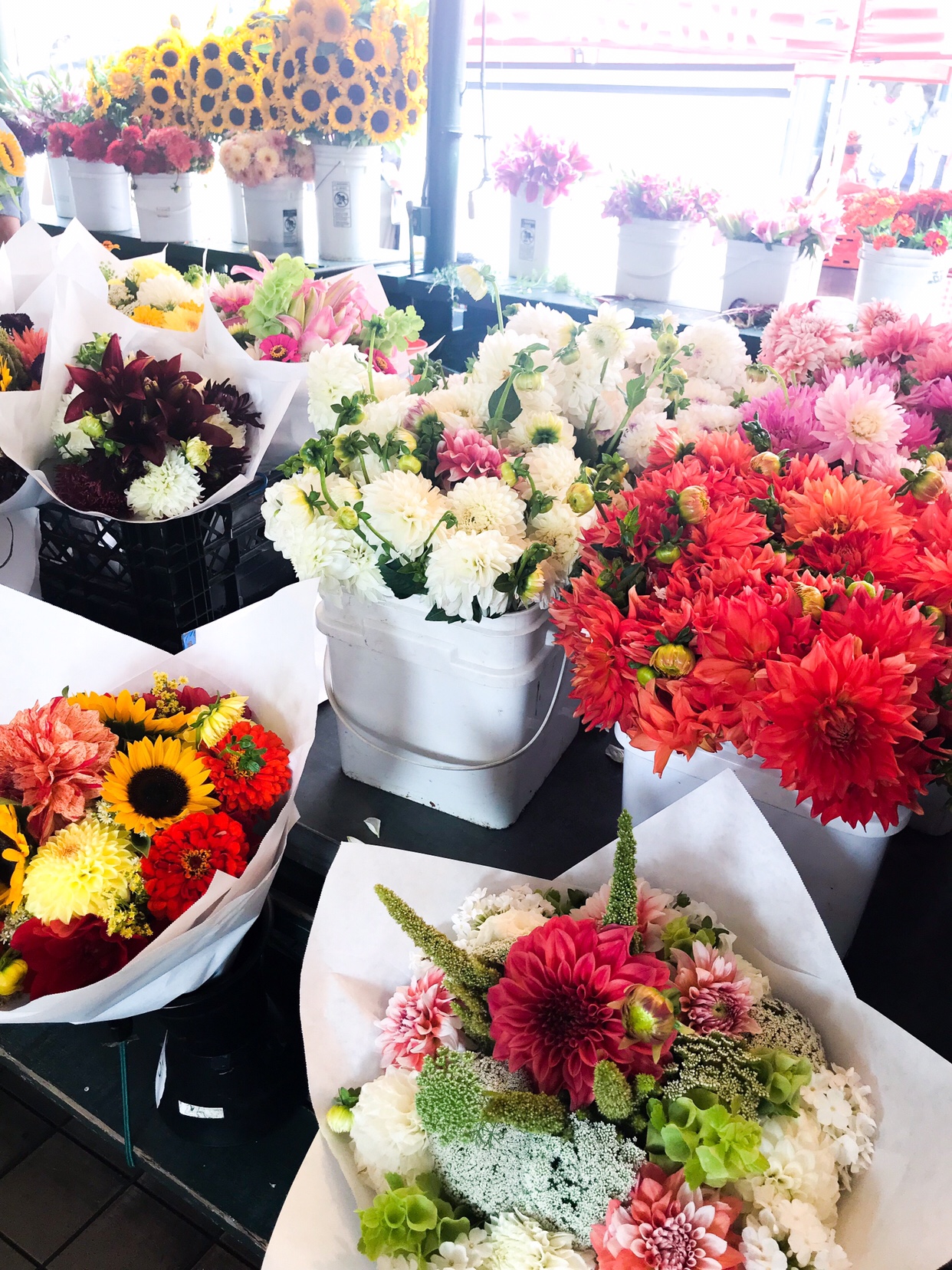 Family Trip to Seattle - Our Must See List