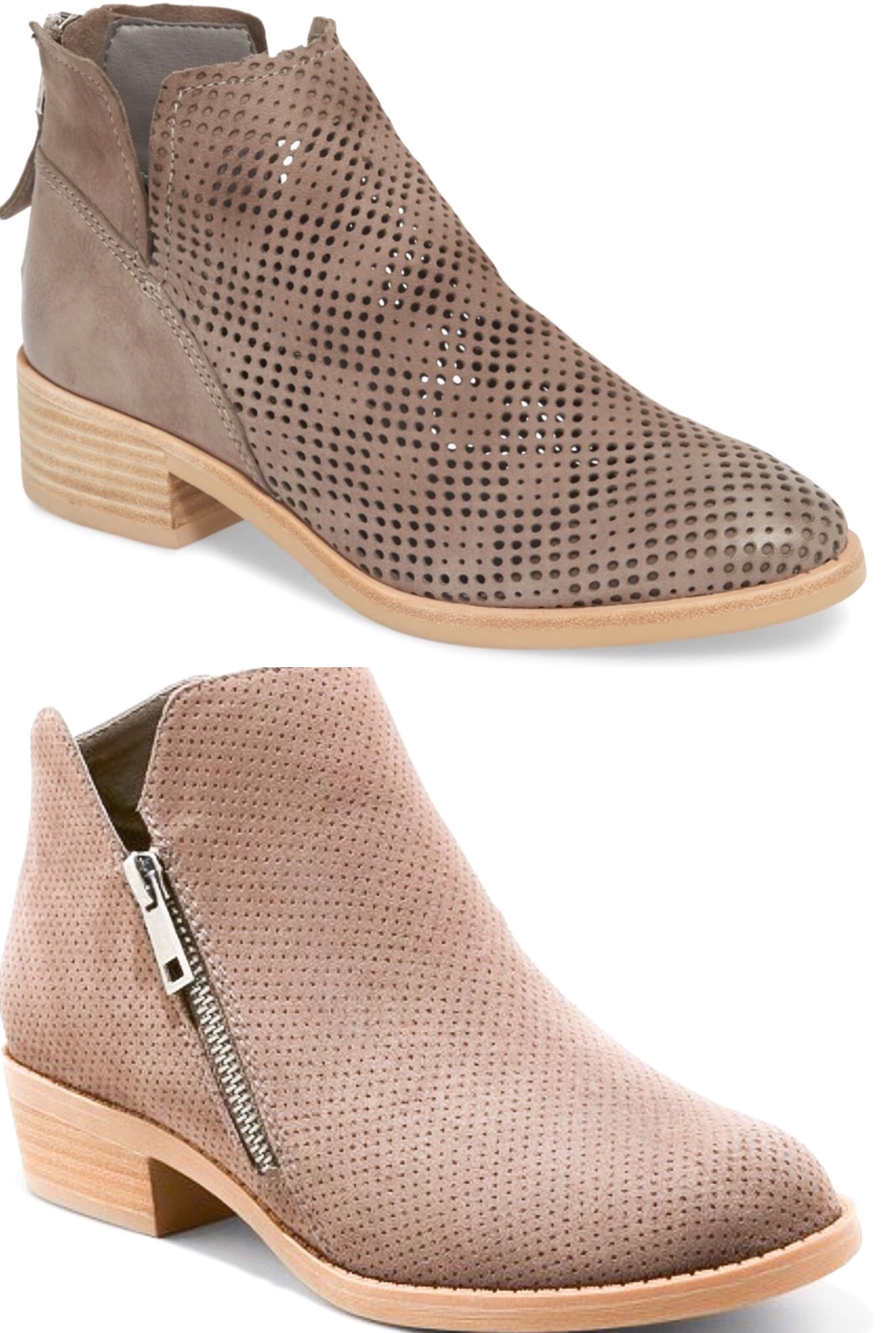 Dolce vita store tommi perforated bootie