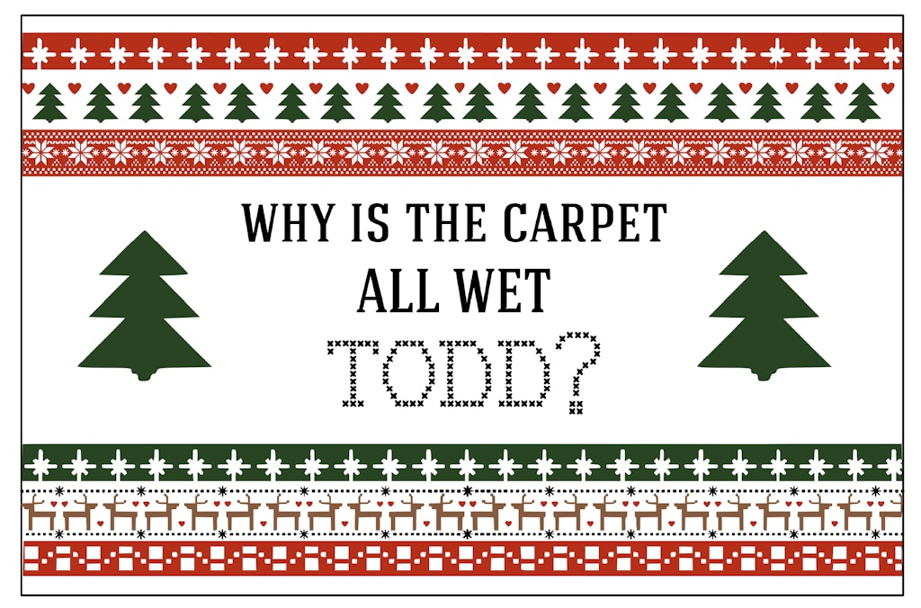 Why is the carpet all wet Todd?