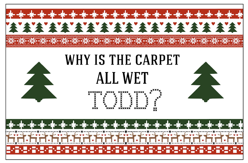 Why is the carpet all wet Todd?
