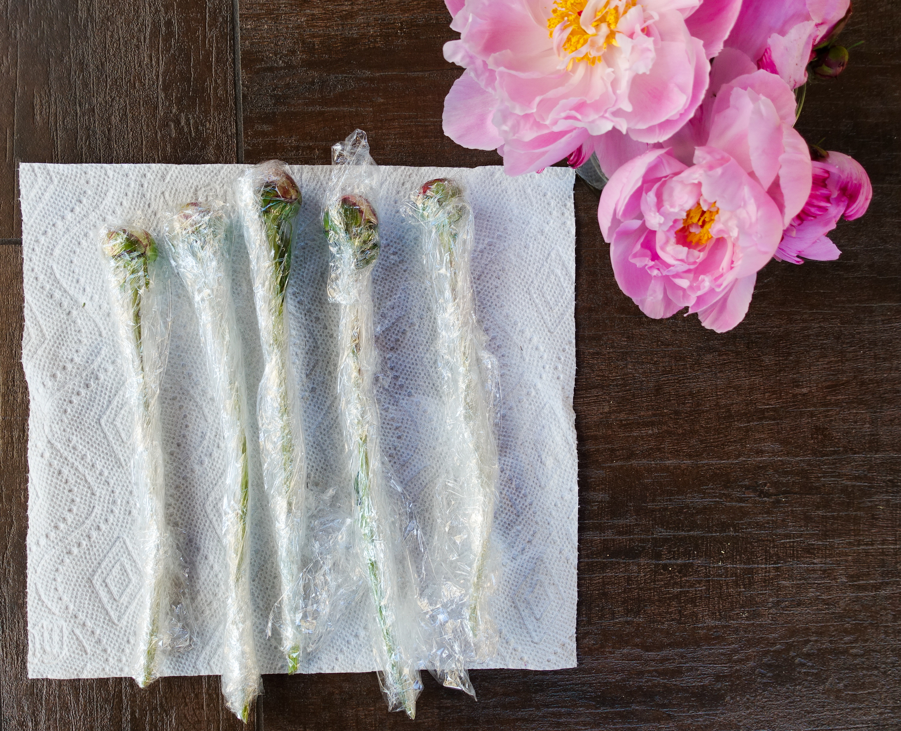 How to Store Peony Flowers For Weeks