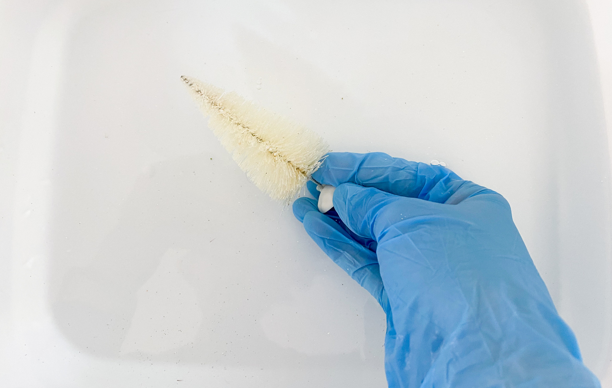 how to bleach bottle brush trees