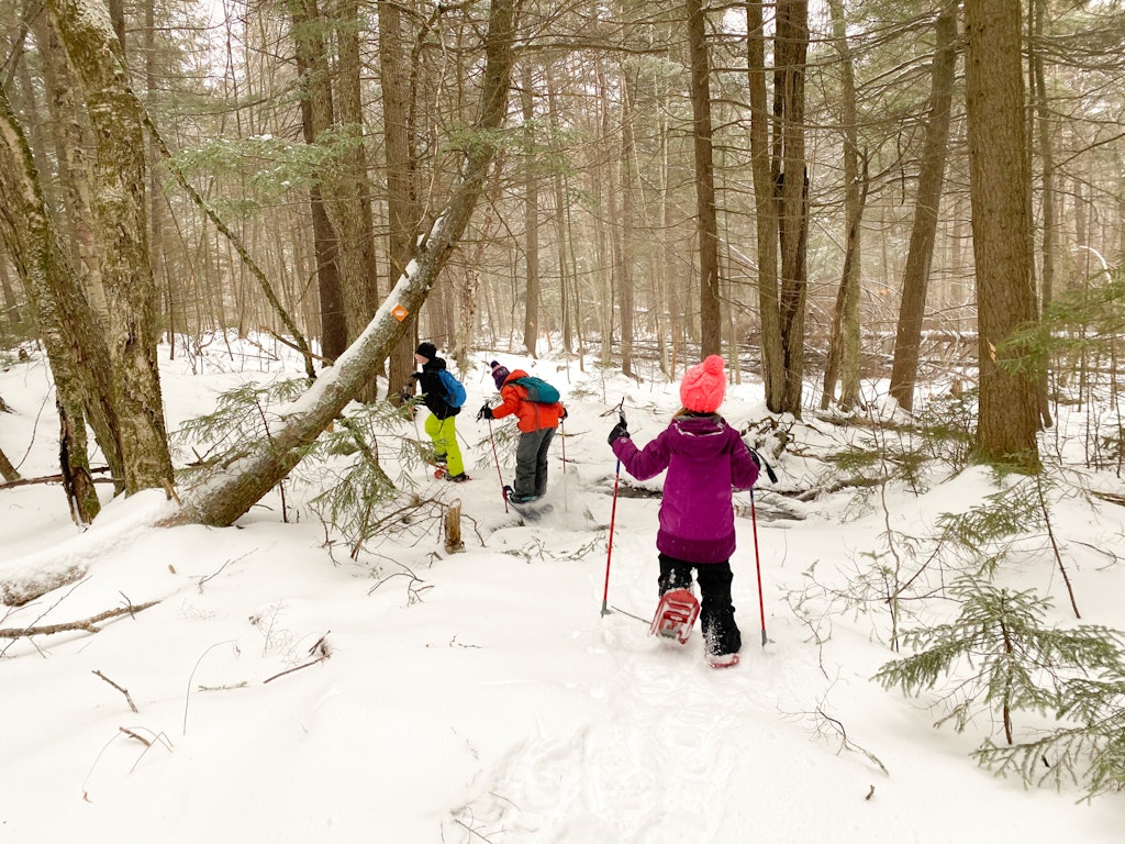 how to snowshoe