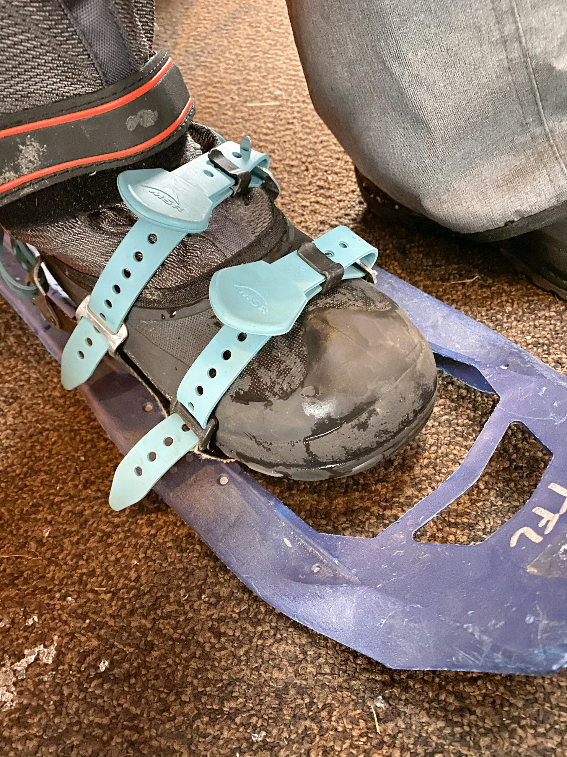 Beginner's Guide To Snowshoeing South Lumina Style