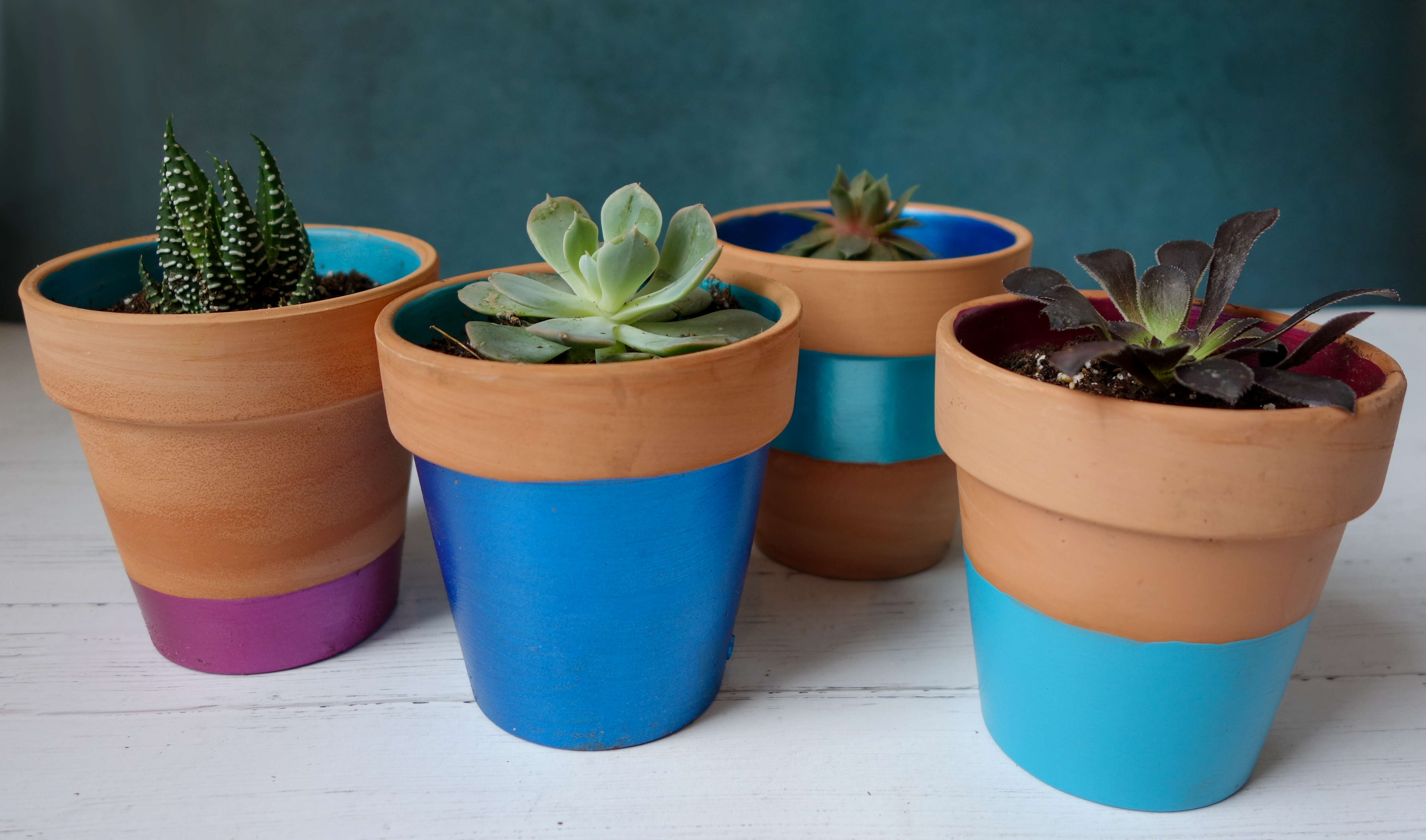 Color Block Flower Pots