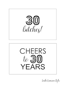 thumbnail of South Lumina Style DIY Printable 30th Birthday Signs cheers to 30 years