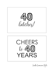 thumbnail of South Lumina Style DIY Printable 40th Birthday Signs cheers to 40 years