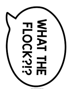 thumbnail of What the flock sign