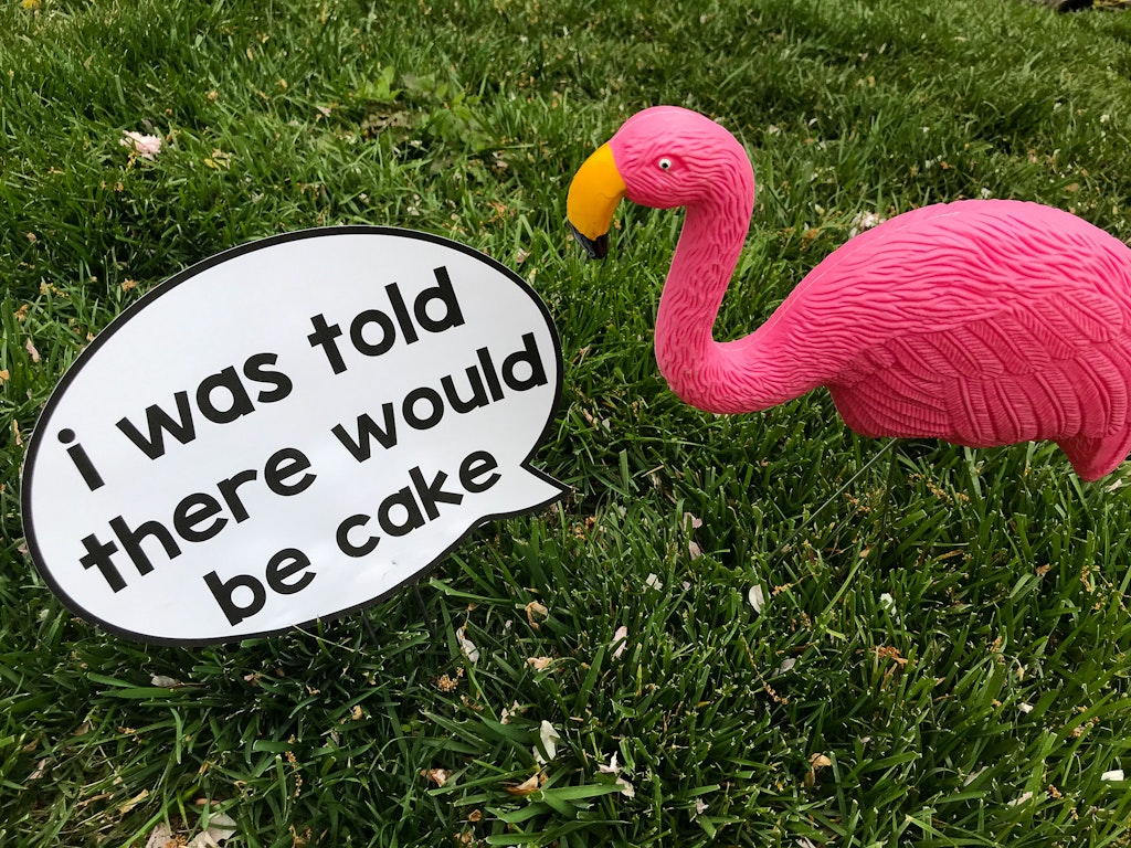 You've Been Flocked Signs