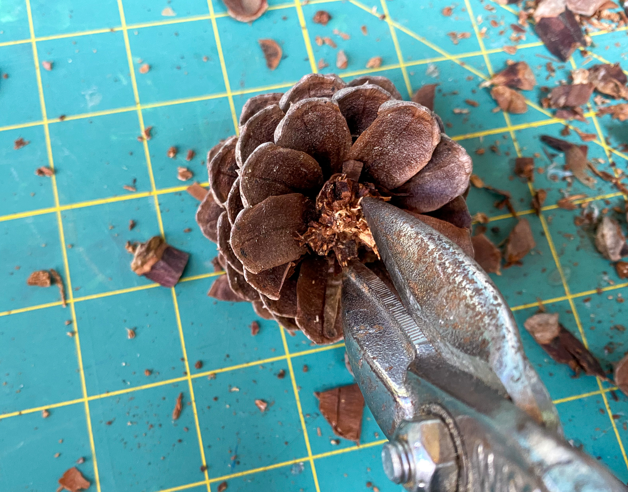diy pinecone flowers