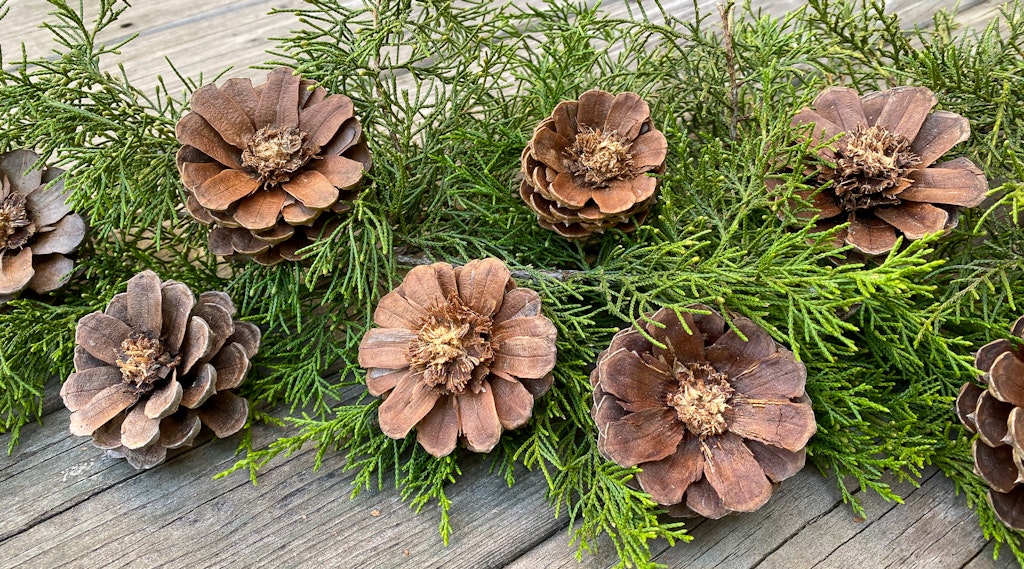 DIY Pinecone Flowers