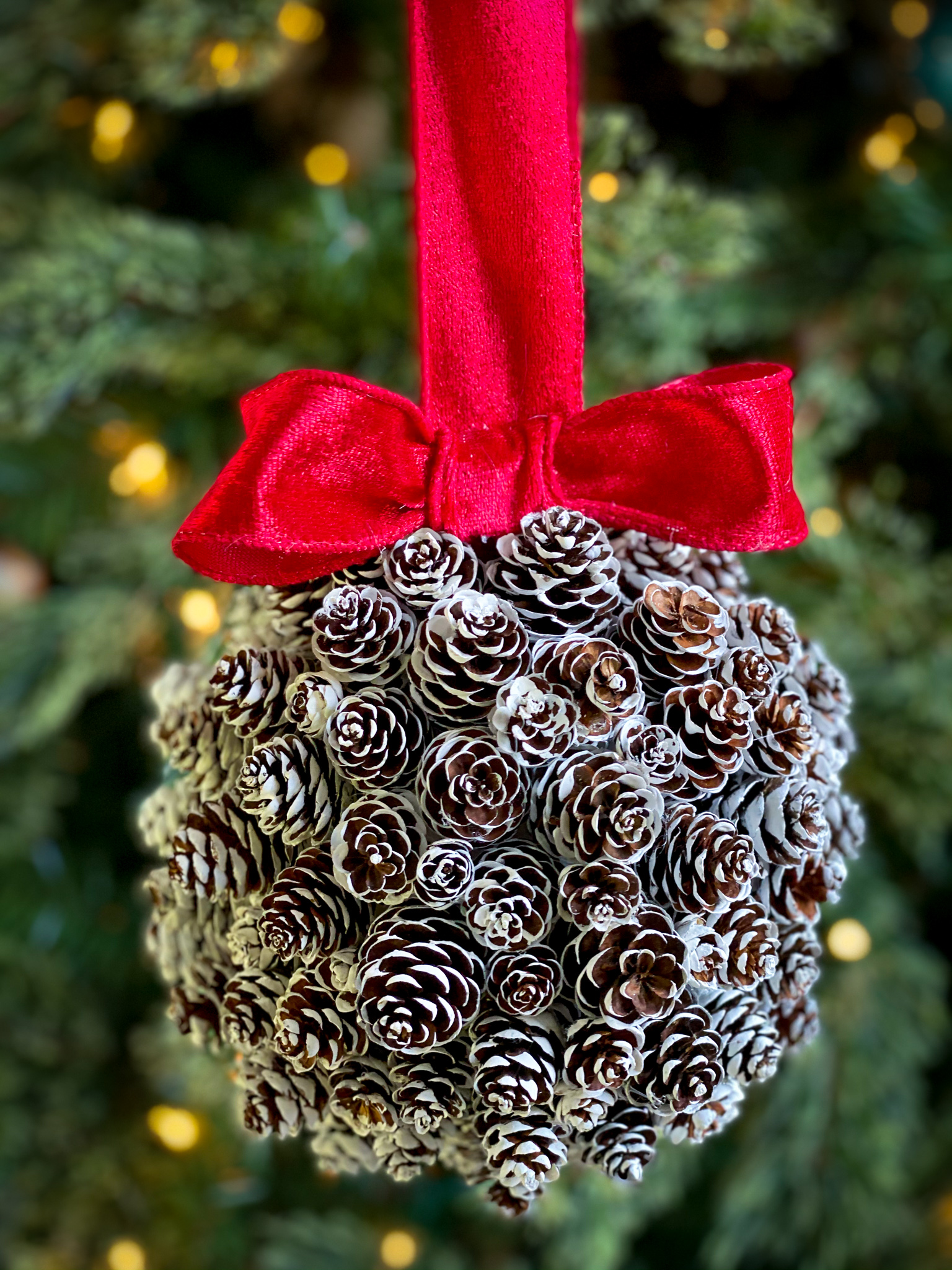 pinecone kissing ball