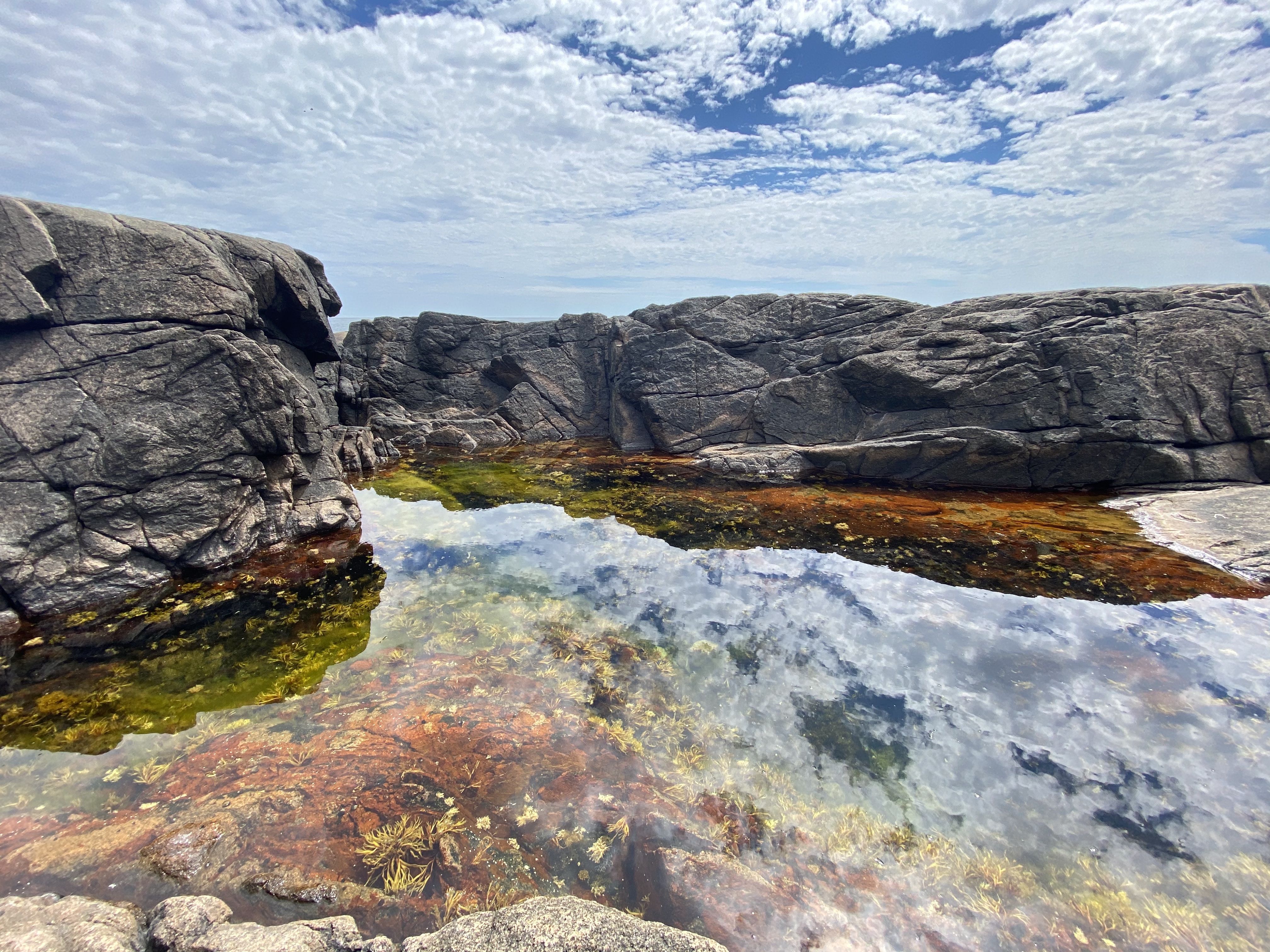 Acadia National Park