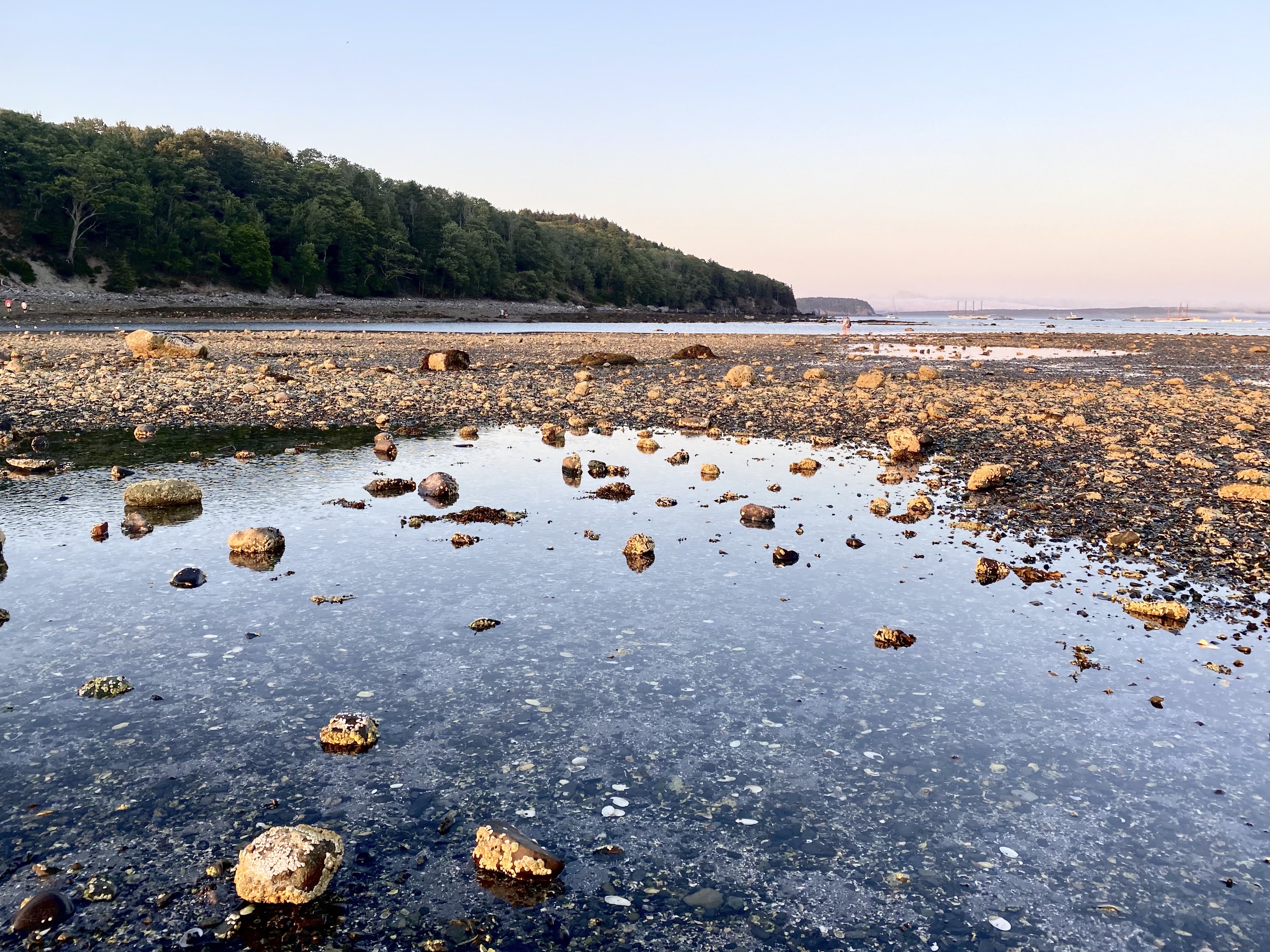 Bar Island Trail Bar Harbor Maine