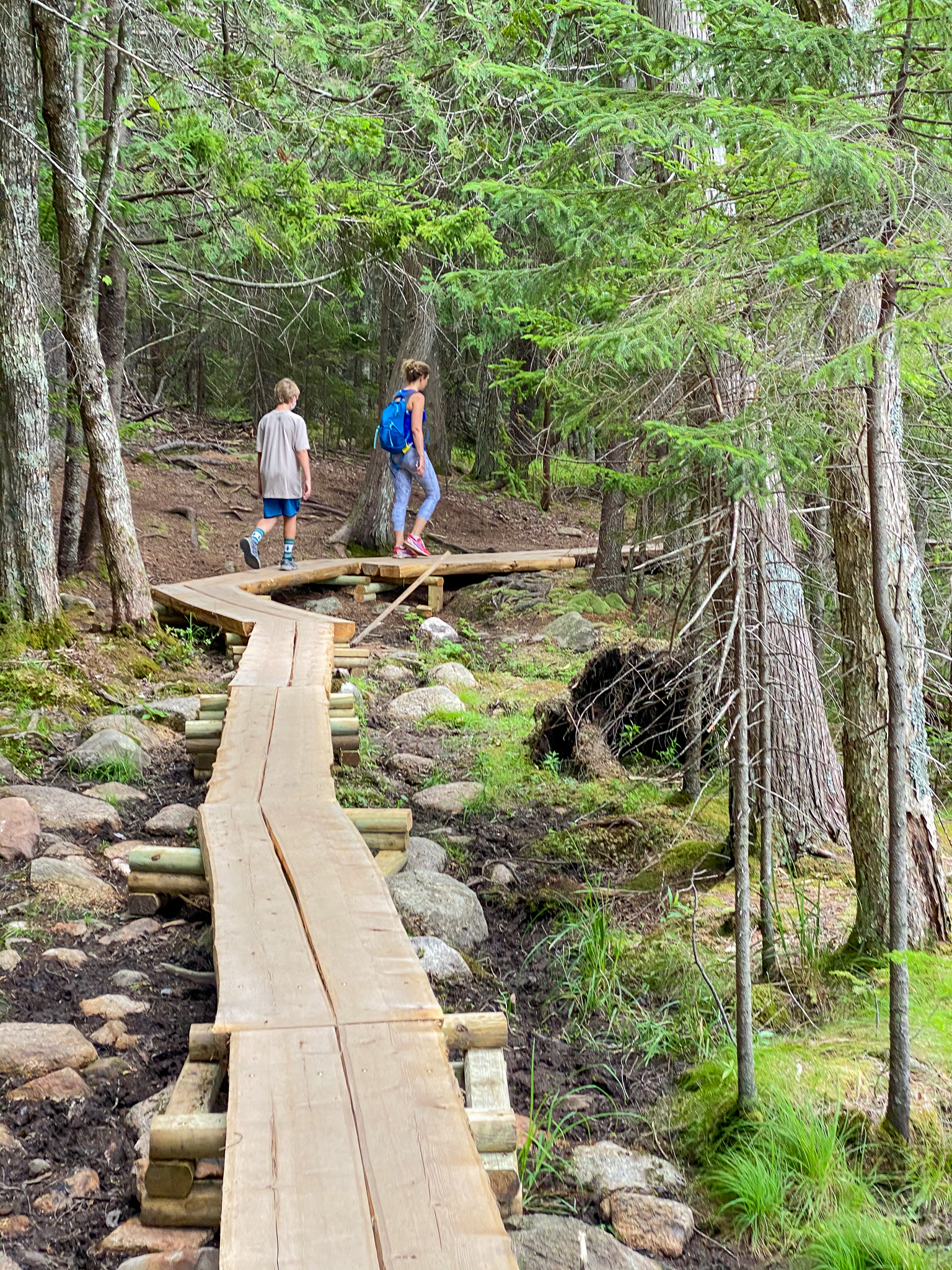 jordan pond trail acadia national park