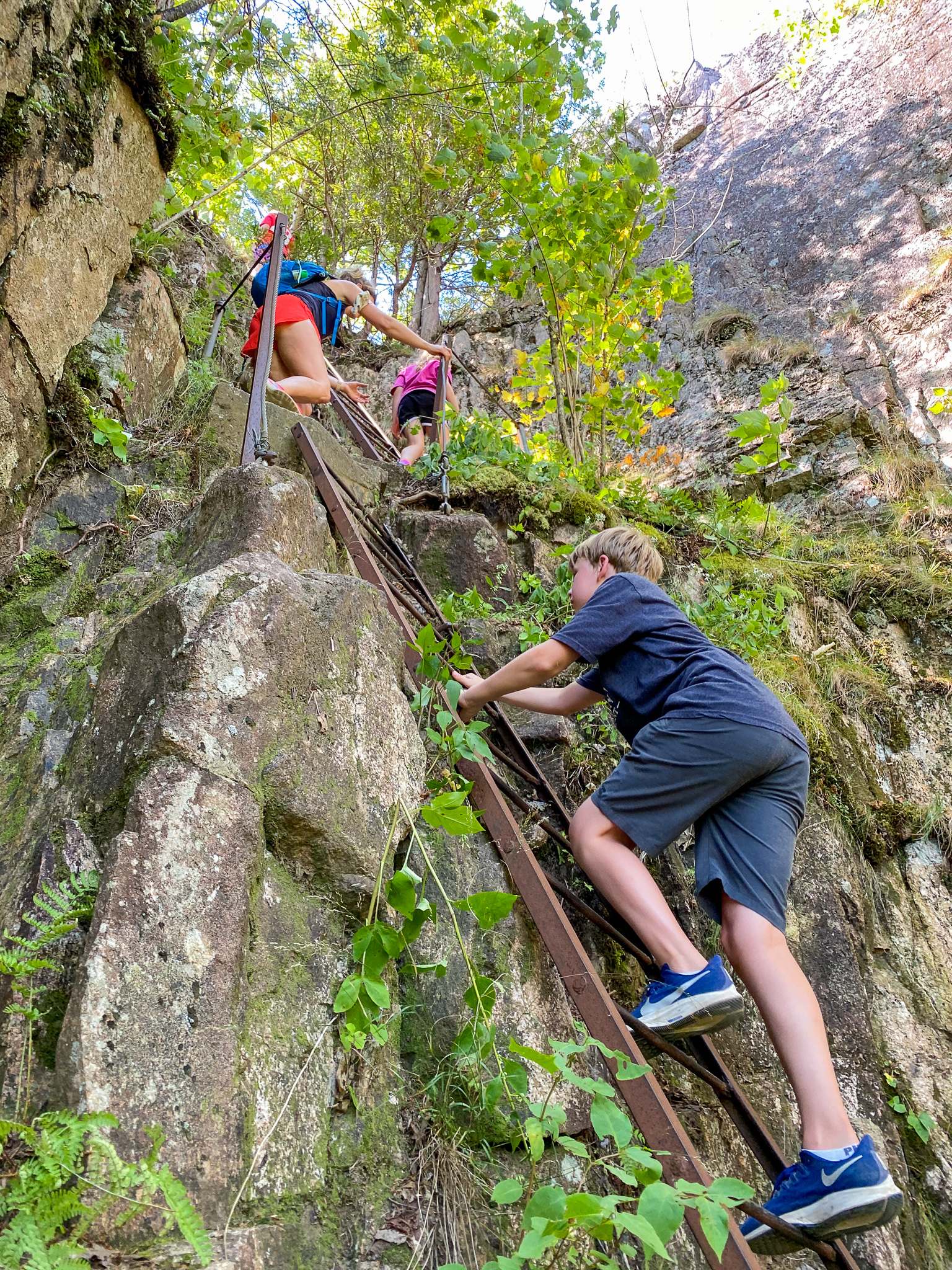 ladder trail bar harbor maine