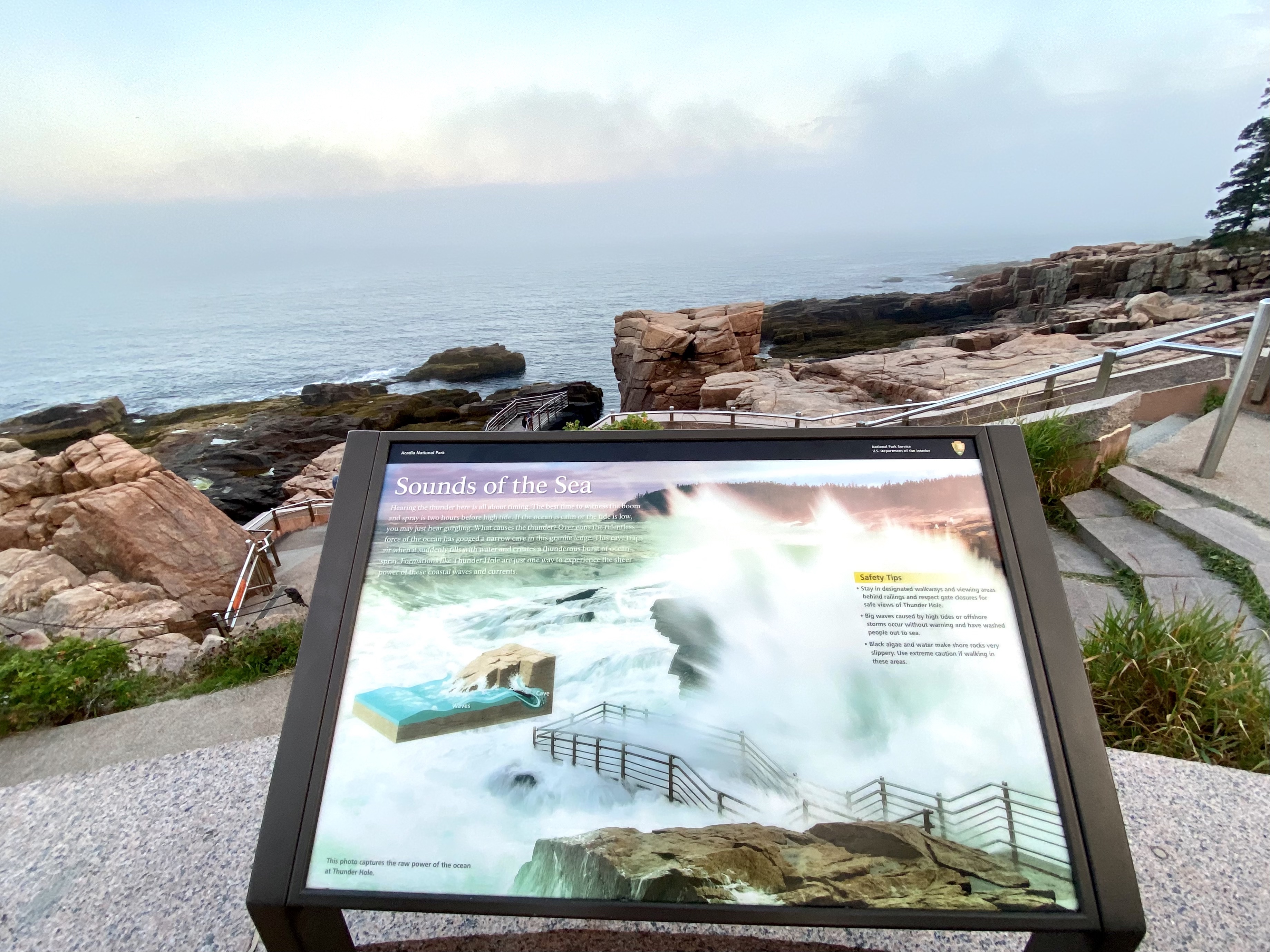 Thunder Hole Acadia National Park