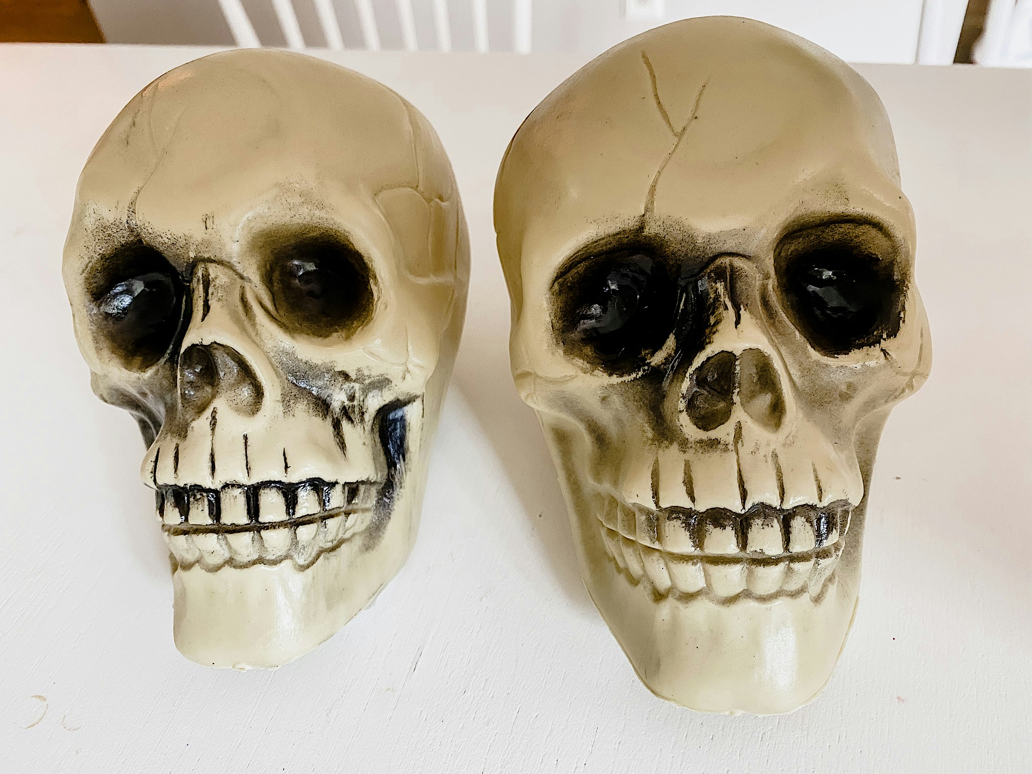 skull heads