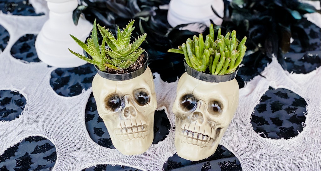 Halloween Skull Planter Decoration