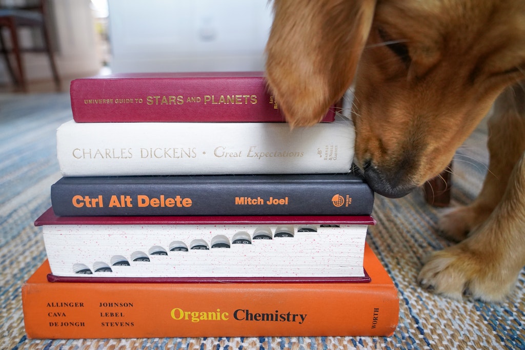 graduation decorations use old textbooks