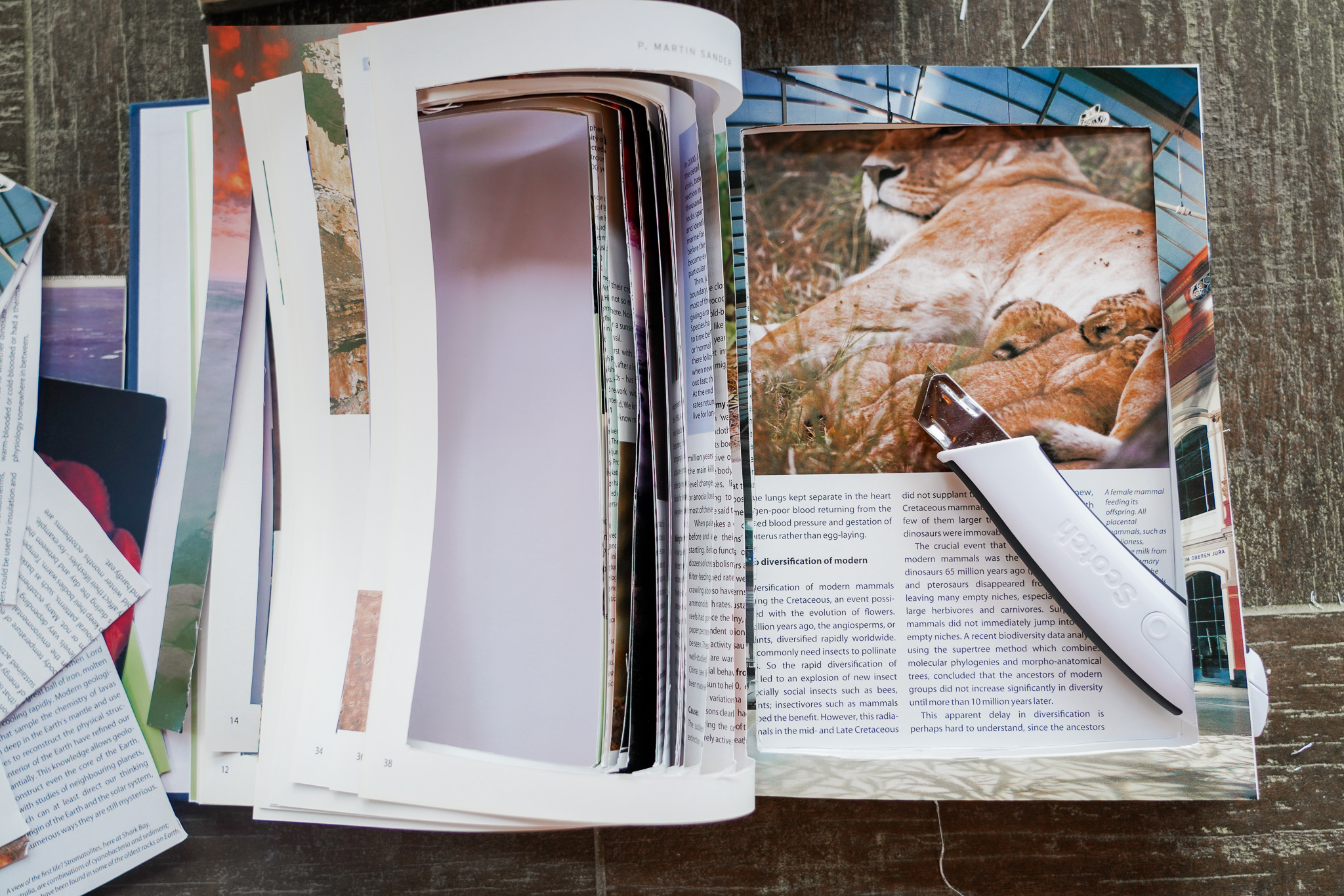 how to hollow out a book