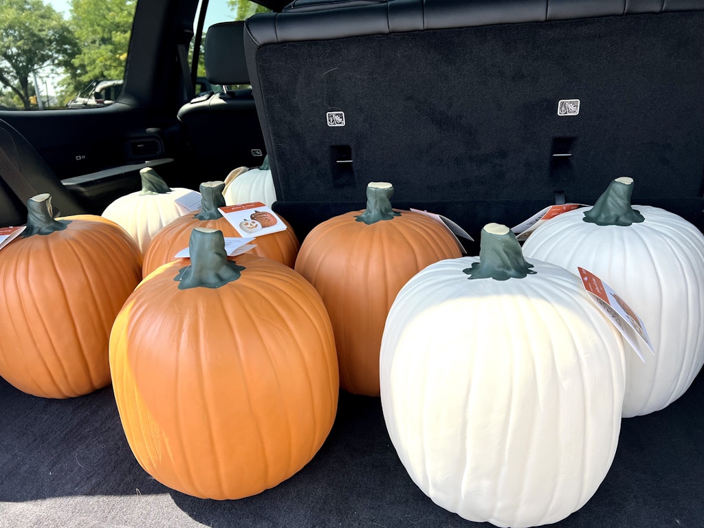 craft pumpkin haul