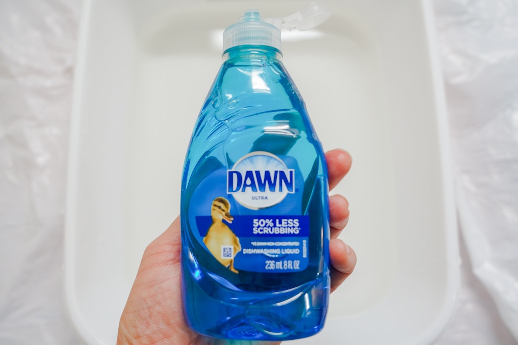 how to clean seashells