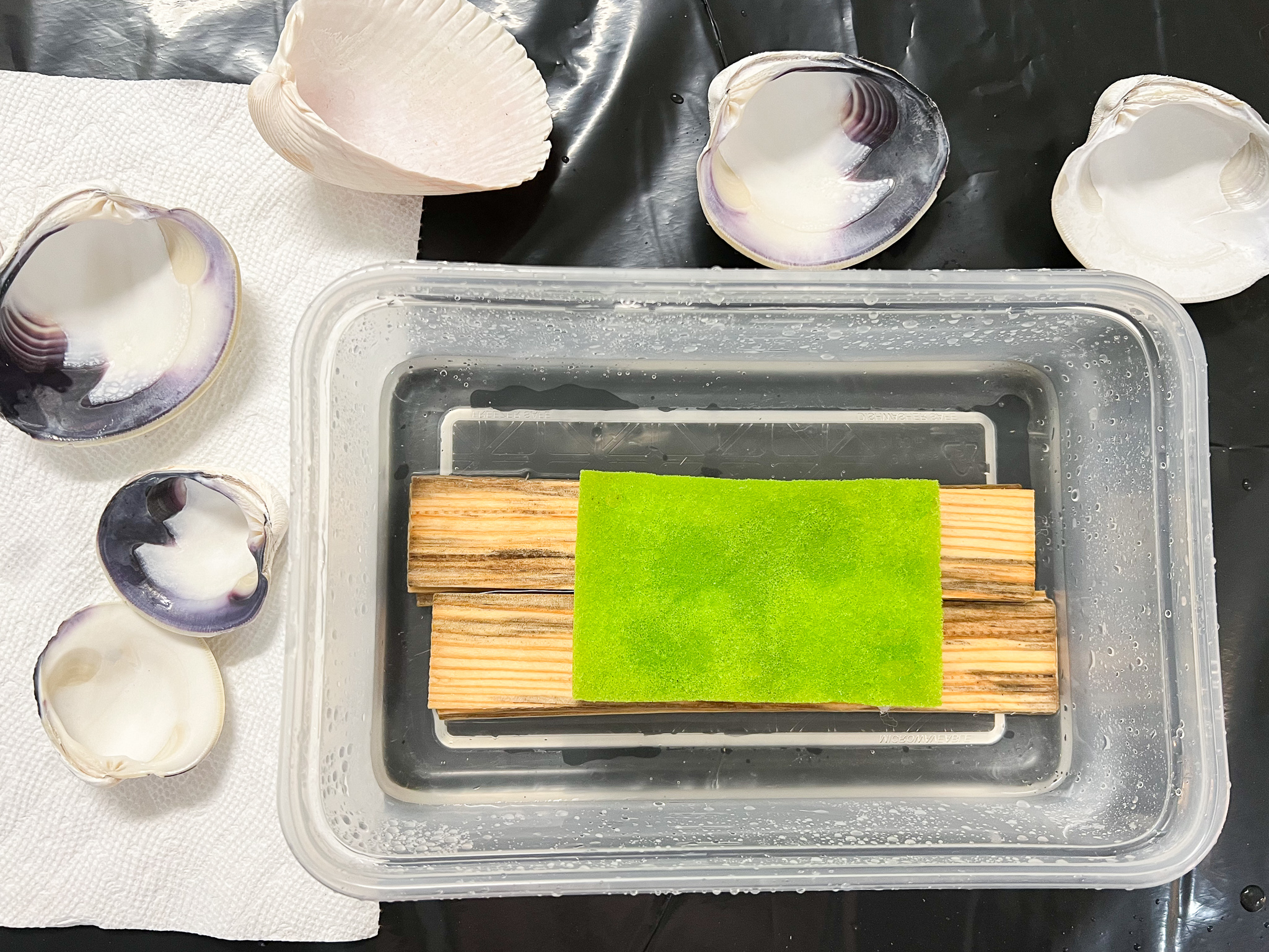 how to drill a hole in a seashell