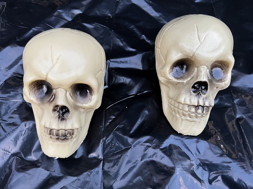 dollar store halloween skulls