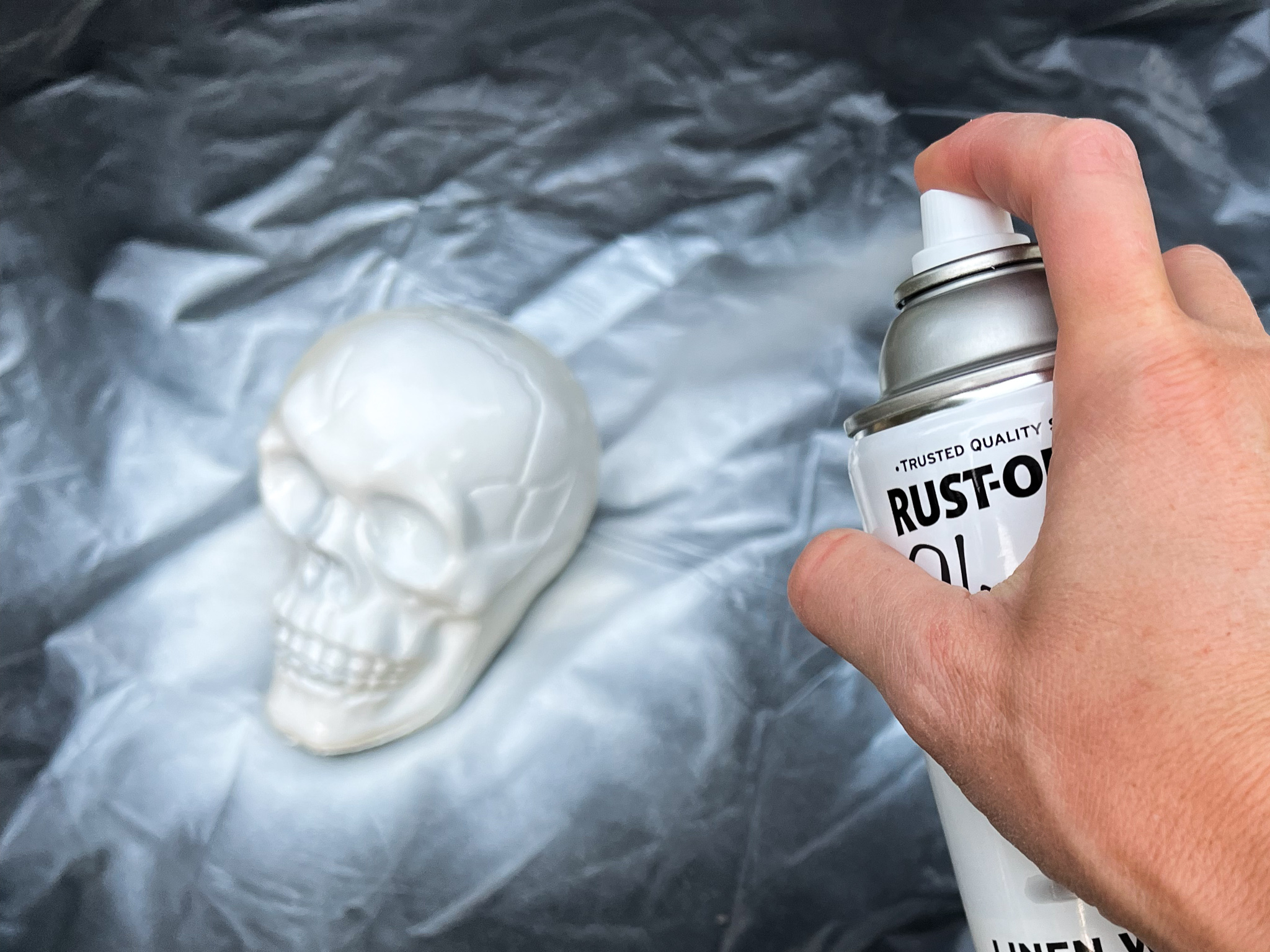 dollar store halloween skulls