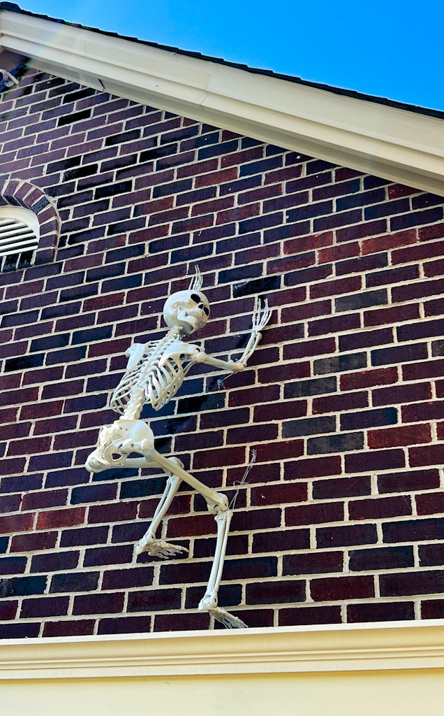 skeletons climb up the house