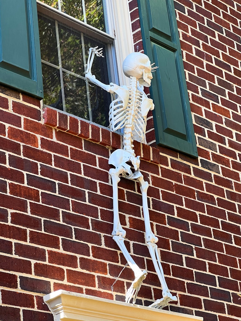 skeletons climbing the house