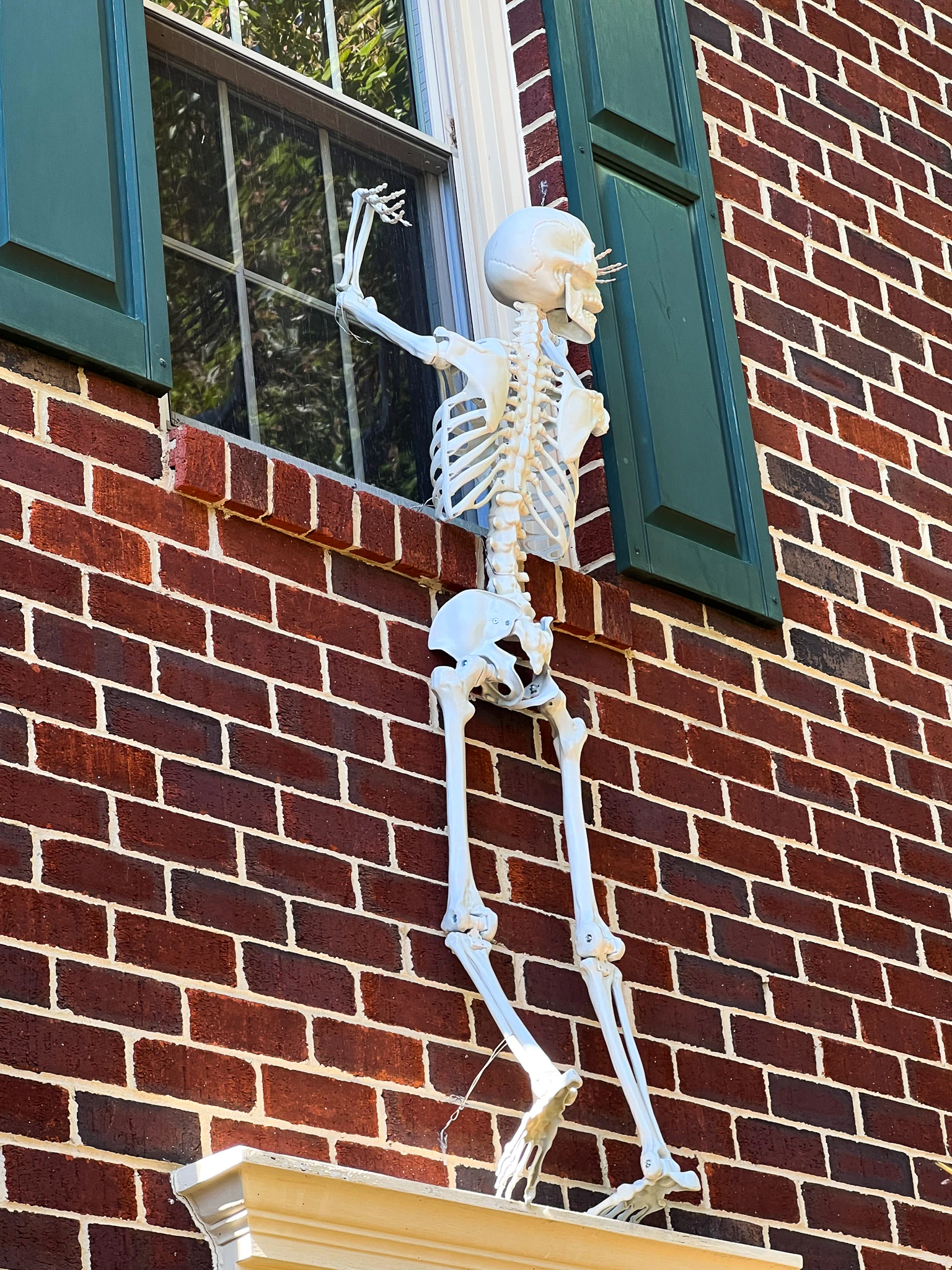 Skeletons Climbing The House - South Lumina Style