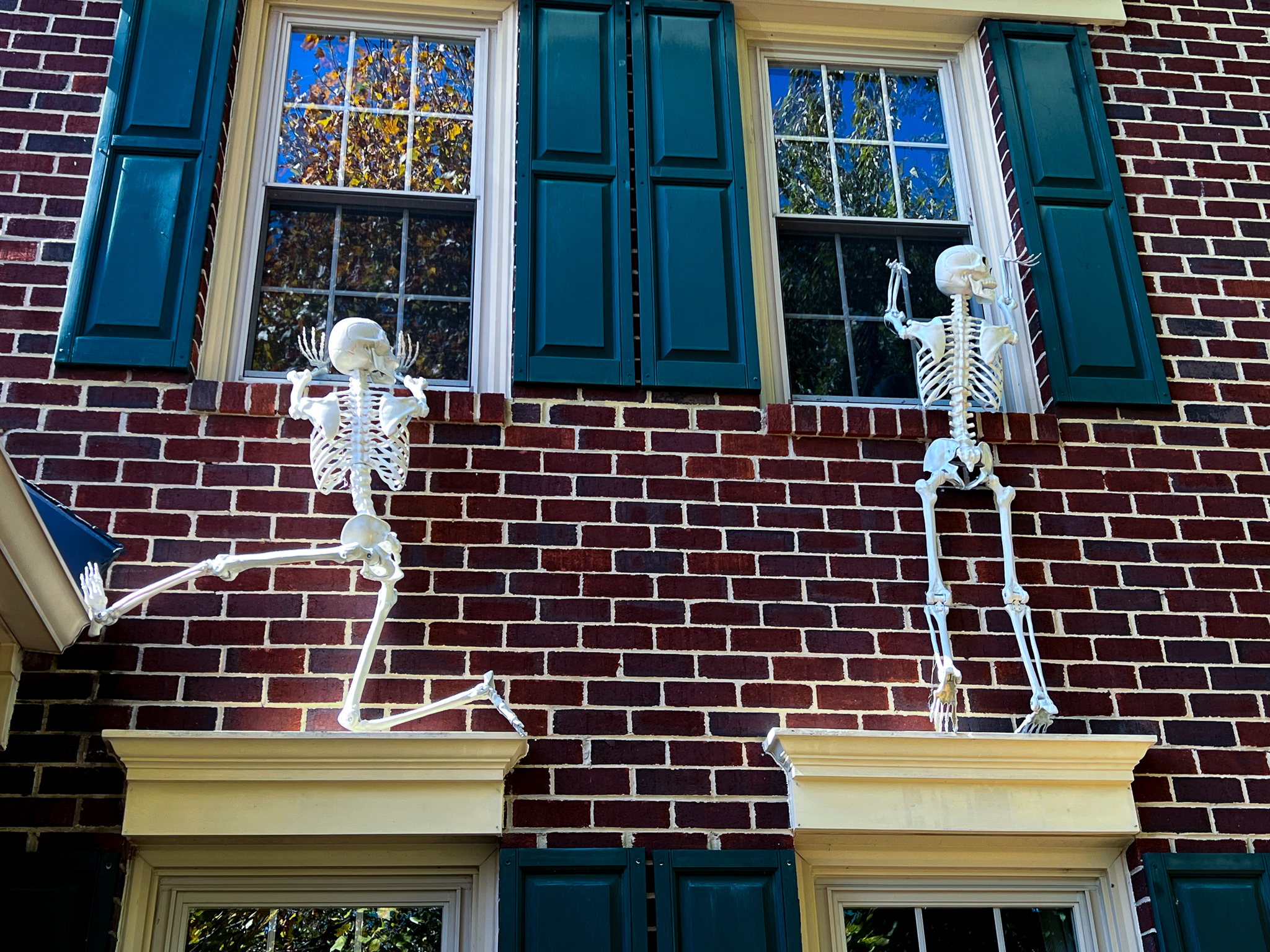 how to hang skeletons on house