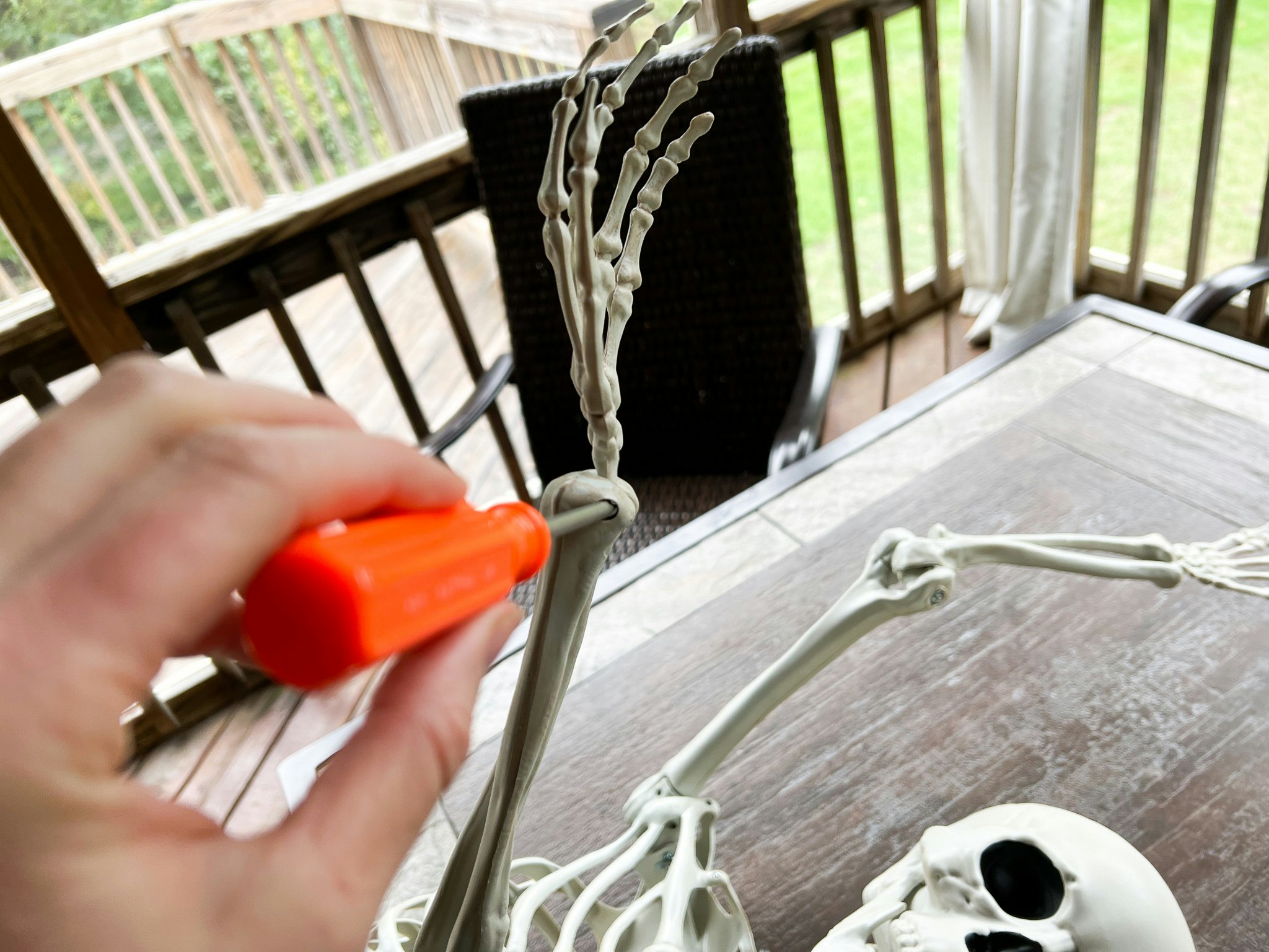 Skeletons Climbing The House South Lumina Style